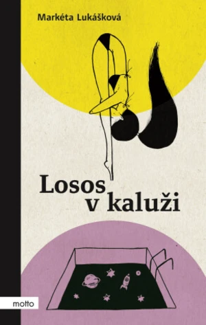 Losos v kaluži - Markéta Lukášková