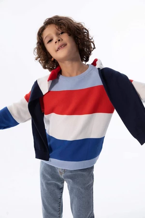 DEFACTO Boy Regular Fit Crew Neck Pullover