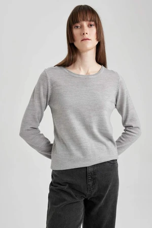 DEFACTO Regular Fit Crew Neck Pullover