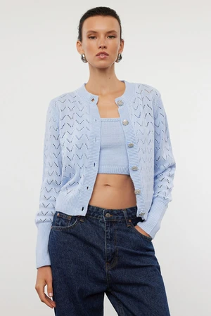 Trendyol Blue Button Detailed Openwork/Hole Blouse-Cardigan Set