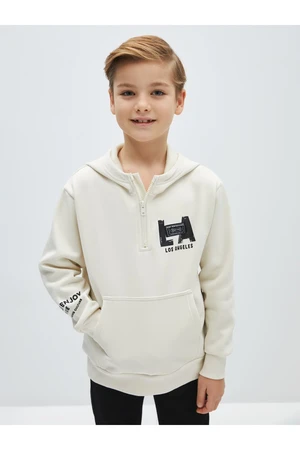 LC Waikiki Printed Long Sleeve Boys' Hoodie