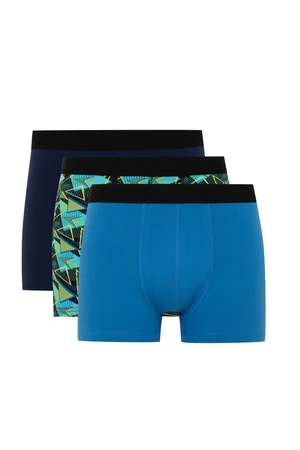 DEFACTO Regular Fit 3-Piece Boxer