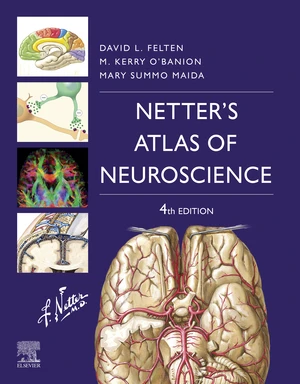 Netter's Atlas of Neuroscience E-Book