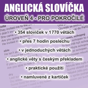 Anglická slovíčka - úroveň 4 pro pokročilé - Richard Ludvík - audiokniha