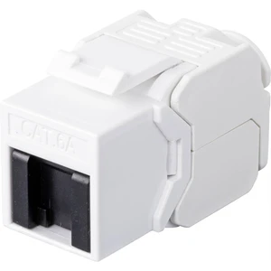 Renkforce  zabudovaný modul RJ45 Keystone CAT 6A