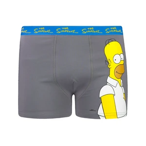 Pánske boxerky The Simpsons 1P - Frogies