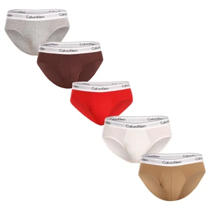 5PACK Calvin Klein Men's Briefs Multicolored