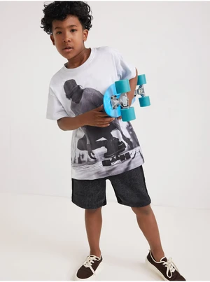 Grey-white boys' T-shirt with print Desigual Mango - Boys