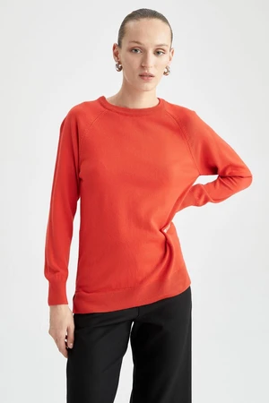 DEFACTO Relax Fit Crew Neck Basic Sweater