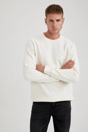 DEFACTO Comfort Fit Basic Sweatshirt