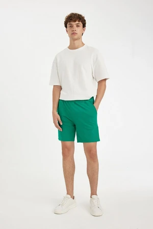 DEFACTO Slim Fit Skinny Shorts