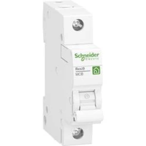 Elektrický jistič Schneider Electric R9F23113, 13 A, 230 V