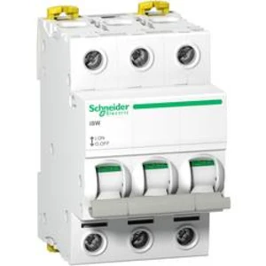 Odpínač Schneider Electric A9S65392, 125 A, 240 V