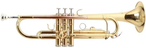 Roy Benson TR-101 Bb Trompete