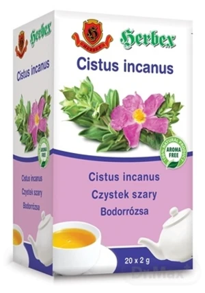 HERBEX CISTUS incanus