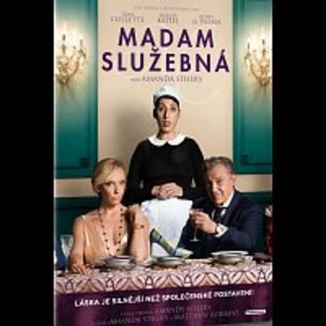 Různí interpreti – Madam služebná DVD