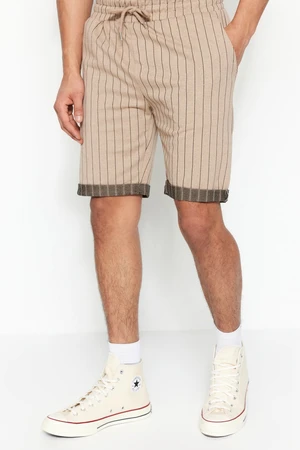 Trendyol Beige Men's Regular Mid-Length/Regular Cut Striped Shorts.