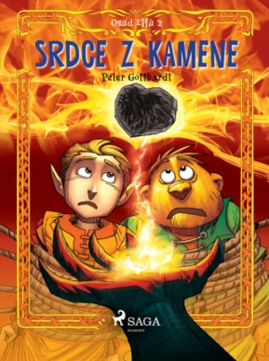 Osud Elfů 2: Srdce z kamene - Peter Gotthardt - e-kniha