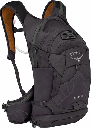 Osprey Raven 14 Space Travel Grey Batoh