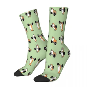 Corgi Animal LIFTING Socks Male Mens Women Summer Stockings Polyester