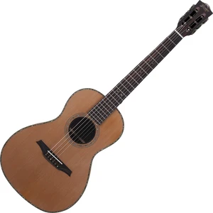 Bromo BAR6E Natural Guitarra electroacustica