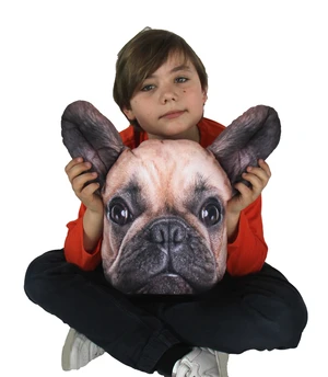 Bertoni Home Unisex's Dog Pillow Boss