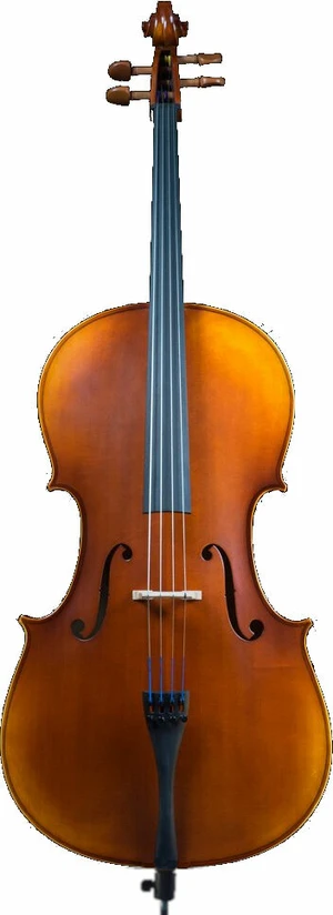 Pearl River PR-C01 4/4 Violonchelo