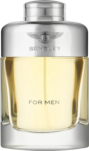 Bentley Bentley For Men - EDT TESTER 100 ml