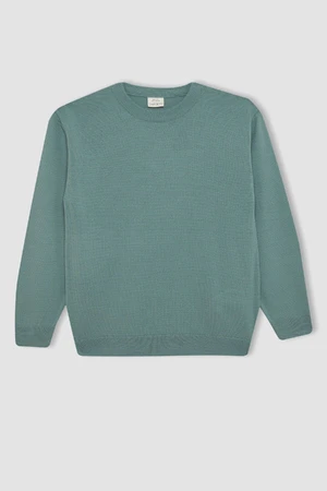 DEFACTO Boy's Light Green Crew Neck Basic Plain Knitwear Sweater