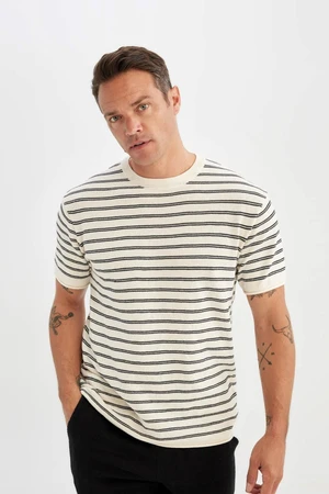 DEFACTO Relax Fit Striped Short Sleeve T-Shirt