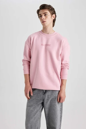 DEFACTO Boxy Fit Long Sleeve Sweatshirt