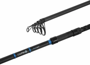 Delphin Capri Tele NXT Rod 3,6 m 120 g 7 parti