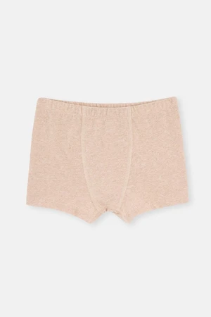 Dagi Beige Melange - Brown Melange 2-Piece Boys' Cotton Boxers