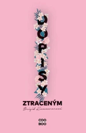 Dopisy ztraceným - Brigid Kemmererová