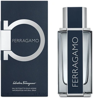 Salvatore Ferragamo Ferragamo Edt 100ml