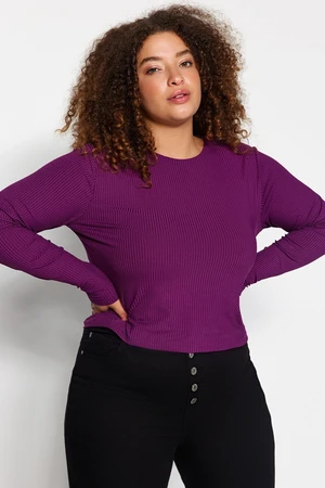 Trendyol Curve Damson Bodycone Ribbed Knitted Blouse