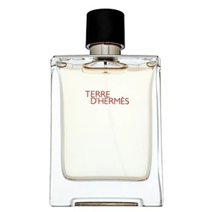 Hermes Terre D'Hermes woda toaletowa dla mężczyzn 100 ml