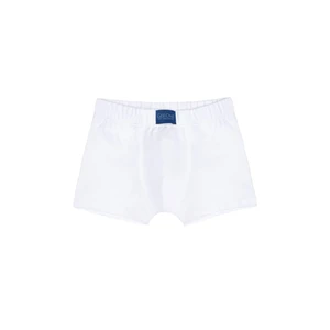 Apollo Boys' Boxers - White