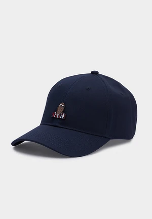 C&S WL Biggenstein Curved Cap navy/mc