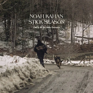 Noah Kahan - Stick Season (Black Ice Coloured) (We'll All Be Here Forever) (3 LP)