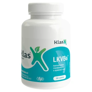 LKVB6 Harmonizátor metabolismu 90 tablet