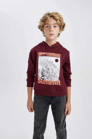 DEFACTO Boy's Hooded Printed Thick Sweatshirt