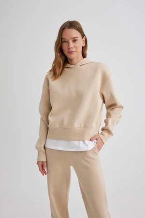 DEFACTO Boxy Fit Hooded Thick Basic Sweatshirt