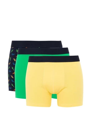 DEFACTO Regular Fit 3-Piece Boxer