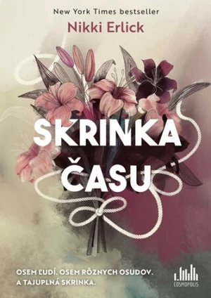 Skrinka času - Nikki Erlick