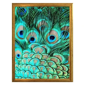 Plagát v ráme v zlatej farbe Piacenza Art Peacock, 33,5 x 23,5 cm