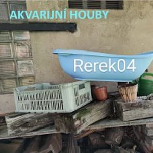 AKVARIJNÍ HOUBY – Rerek04