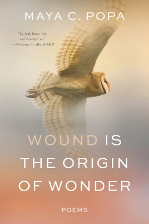 Wound Is the Origin of Wonder