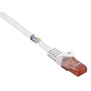 Basetech BT-2270709 RJ45 sieťové káble, prepojovacie káble CAT 6 U/UTP 1.00 m biela s ochranou, bez halogénov 1 ks