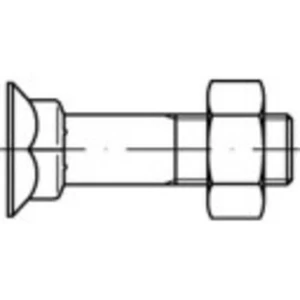 Skrutky so štvorhranom TOOLCRAFT 111780 M10 DIN 608 35 mm oceľ 100 ks